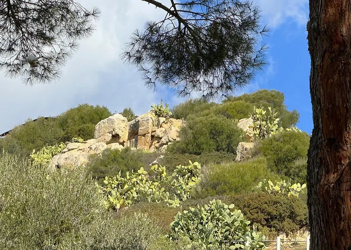 Federica: Natura E Mare 别墅 托雷德尔斯泰尔